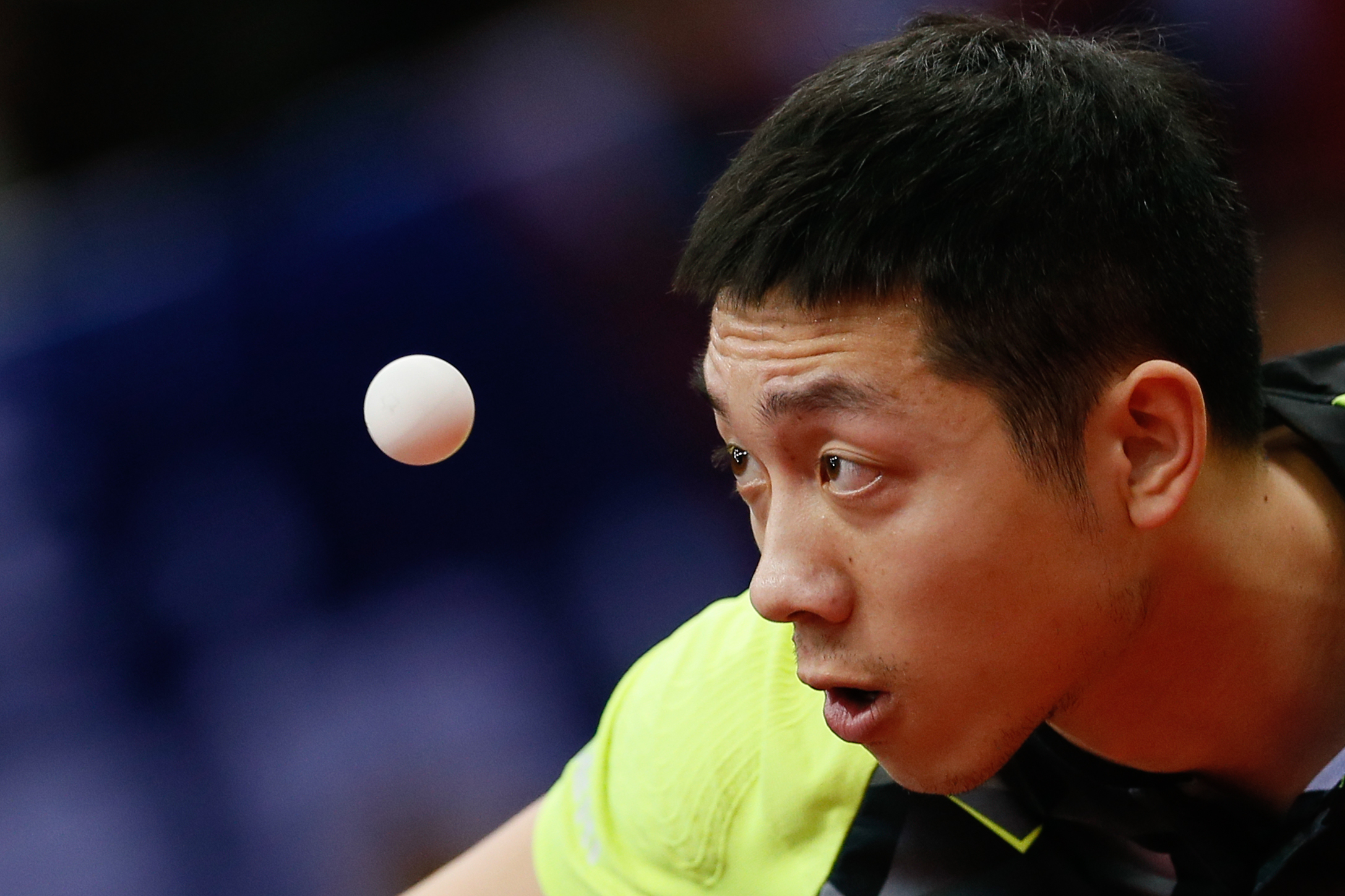 Xu Xin